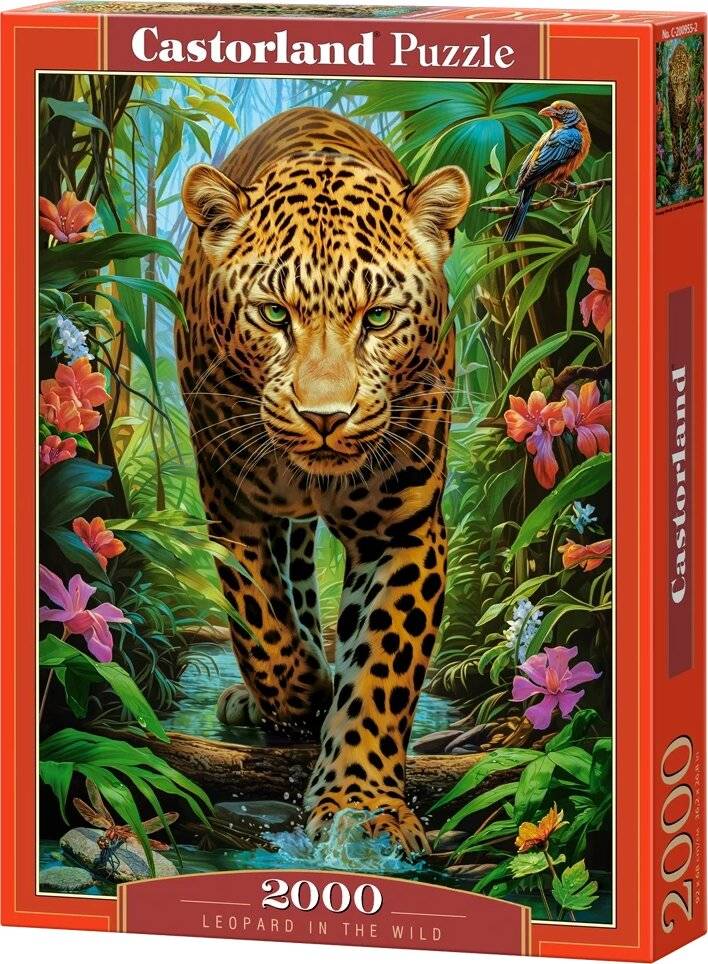 CASTORLAND Puzzle Leopard in freier Wildbahn 2000 Teile