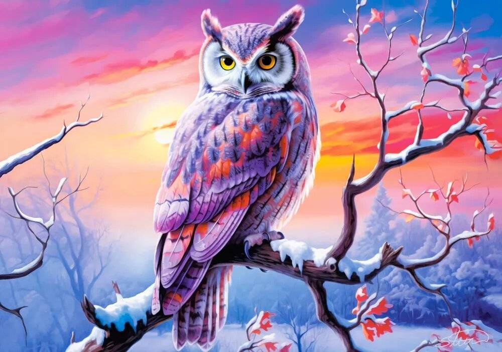 CASTORLAND Puzzle Der perfekte Abend mit der Eule 500 Teile