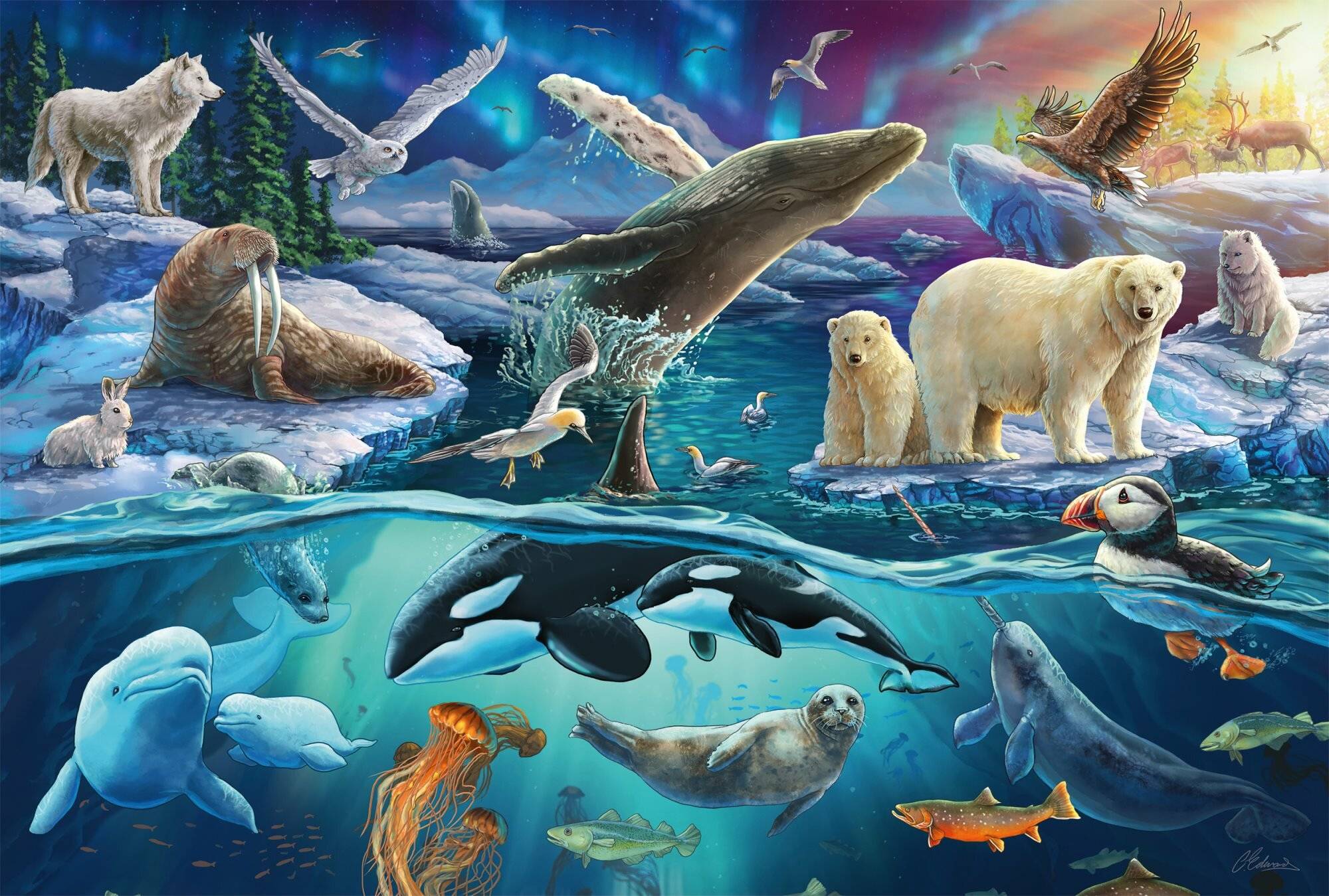 Tiere In Der Arktis (150 Teile)
