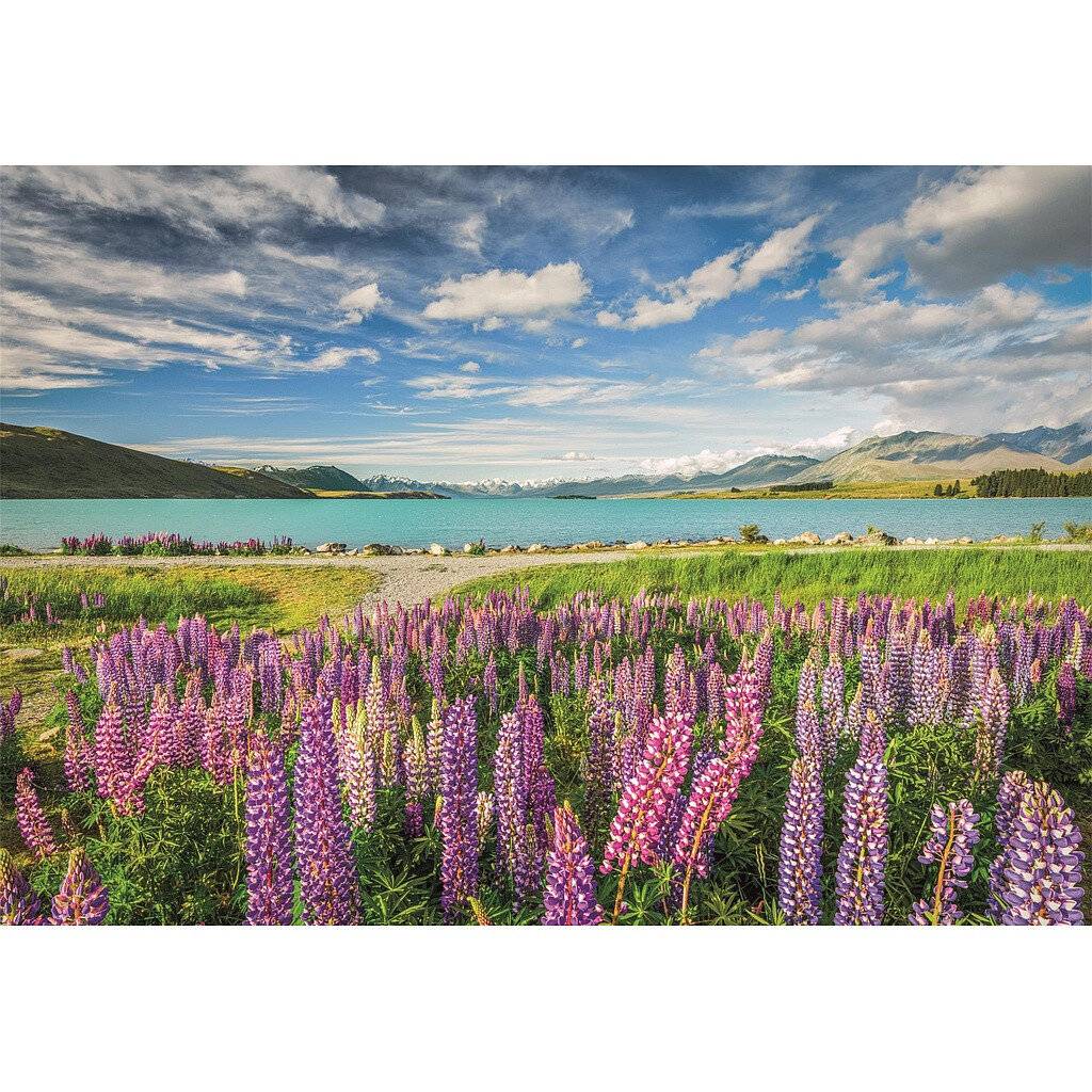 Hochwertige Lupinen am Lake Tekapo Puzzle 1500Stü ck