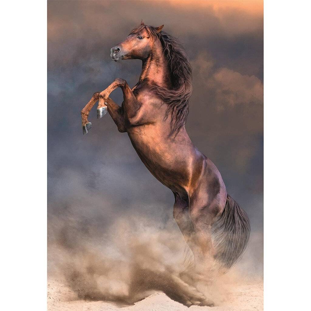 Hochwertige Wild Red Stallion Puzzle 500pcs