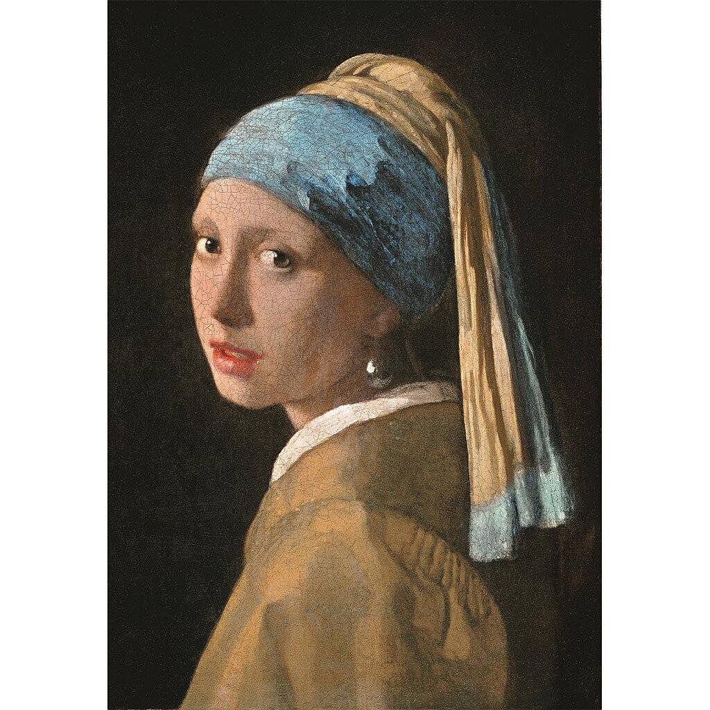 Museum Vermeer Mä dchen mit Perlenohrring puzzle 1000pcs