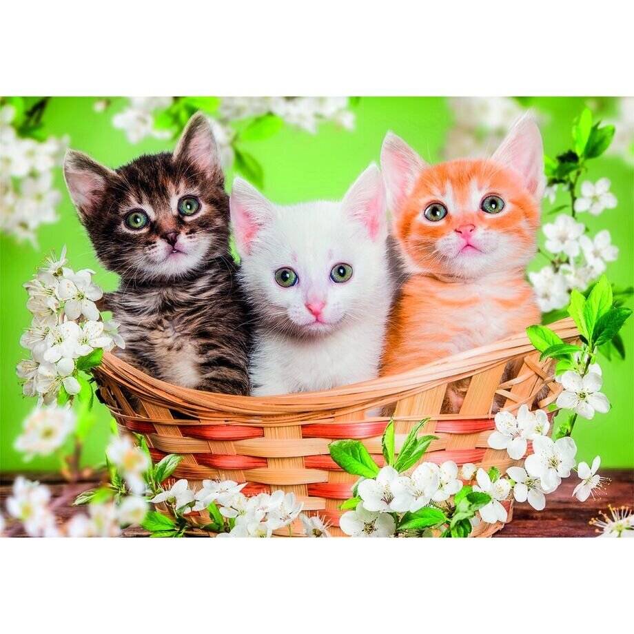 Brothers in Fur Puzzle 2x60 Stü ck