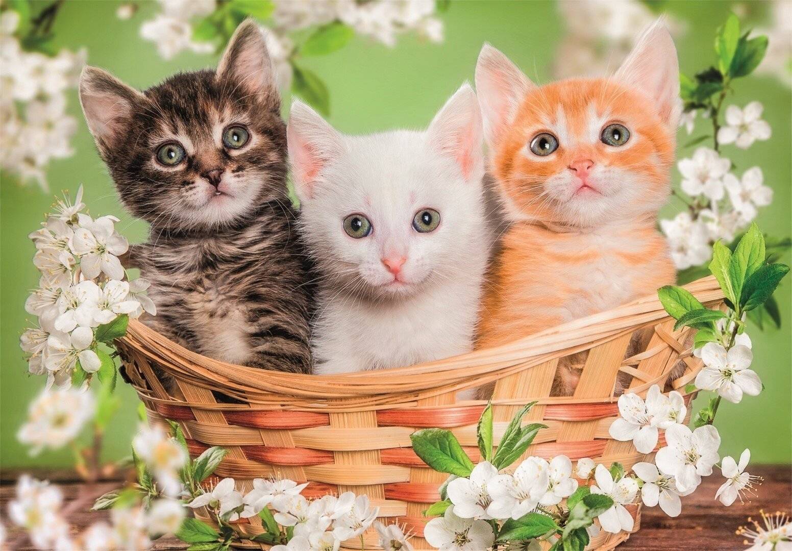 Brothers in Fur Puzzle 2x60 Stü ck