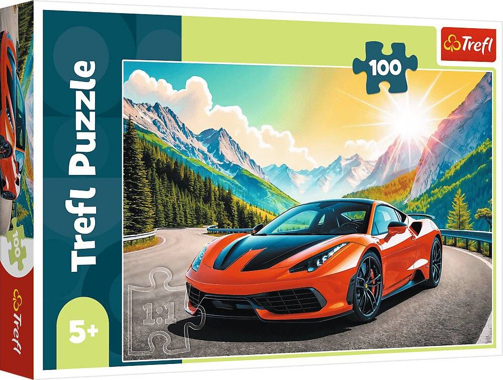 TREFL Puzzle-Einfü hrung mit Zeit 100 dlks