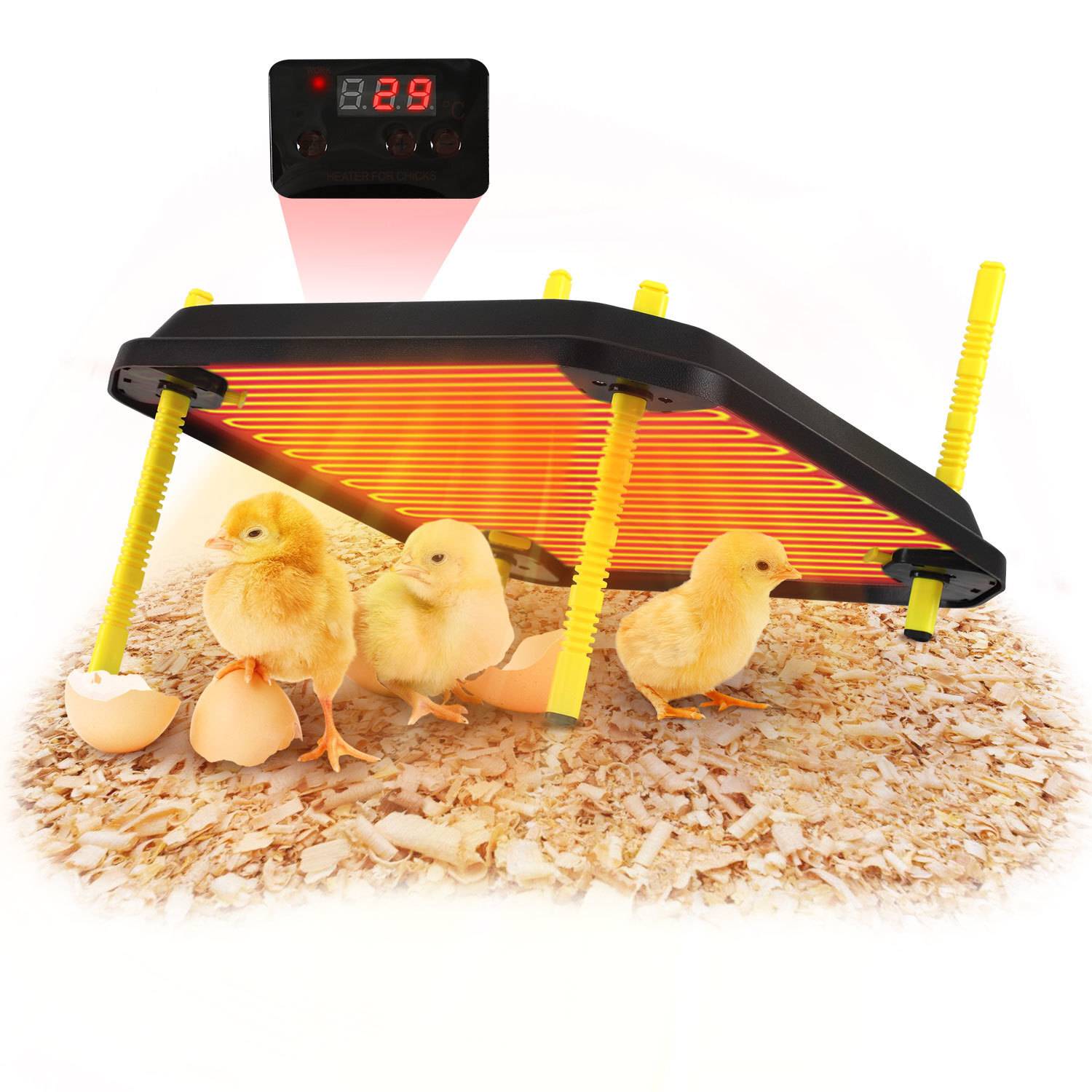 Küken-Wärmeplatte 30x30cm 50W mit Temperaturregler - Schwarz/Gelb für Hühner & Geflügel