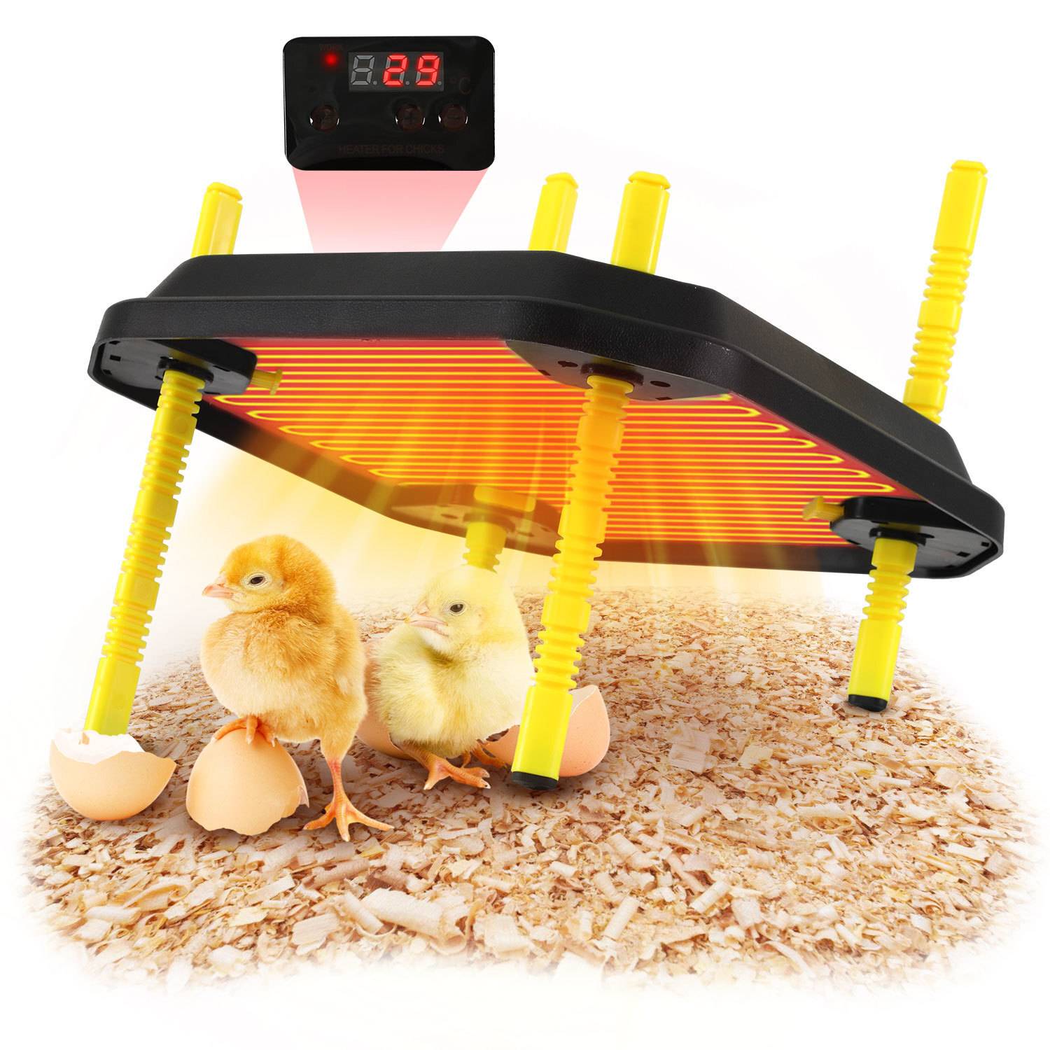 Küken-Wärmeplatte 40x40cm 42W mit Temperaturregler - Schwarz/Gelb für Hühner & Geflügel