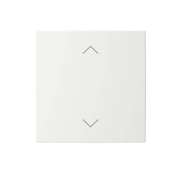 Busch-Jaeger Abdeckung Auf/Ab LFAW/A.1.55.1-914