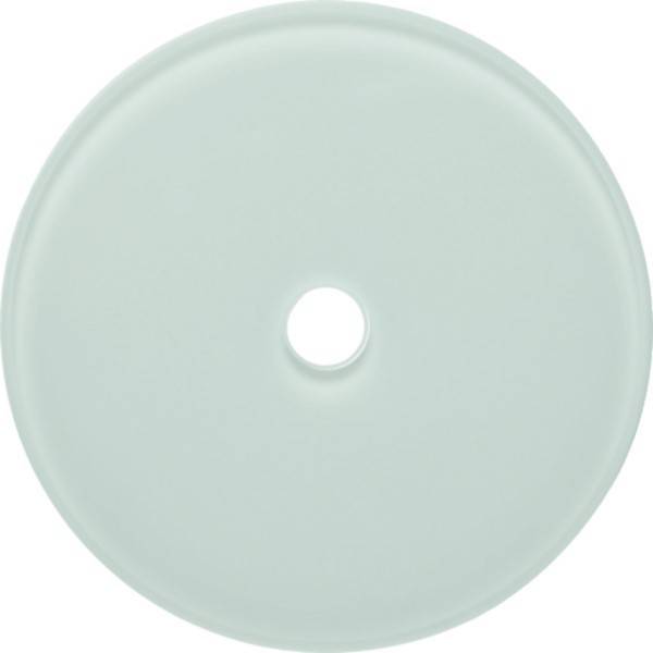 Hager Glasabdeckplatte WTD7100GWG