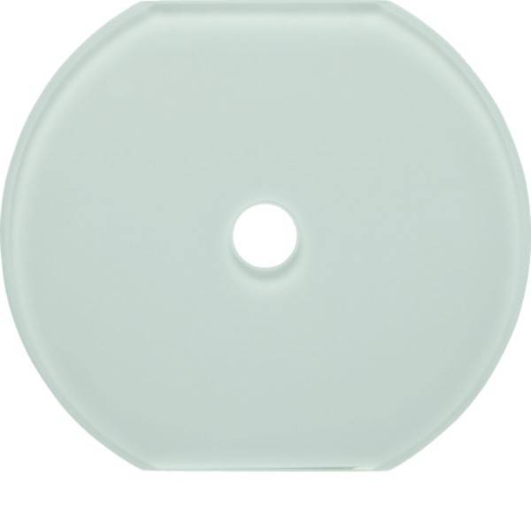 Hager Glasabdeckmittelplatte WTD7672GWG