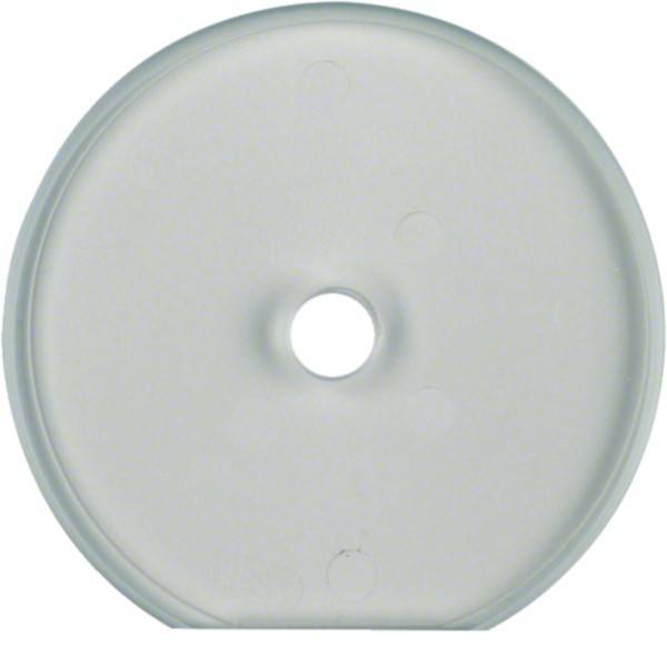 Hager Glasabdeckendplatte WTD7671GT