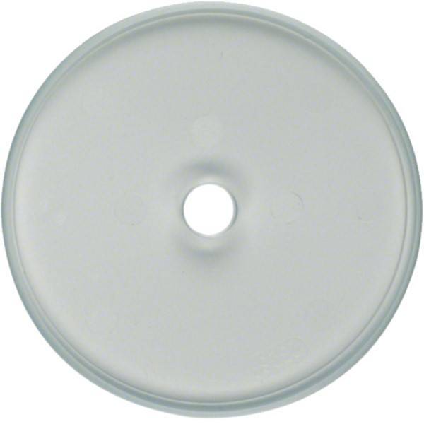 Hager Glasabdeckplatte WTD7100GT