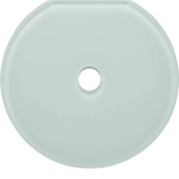 Hager Glasabdeckendplatte WTD7671GWG