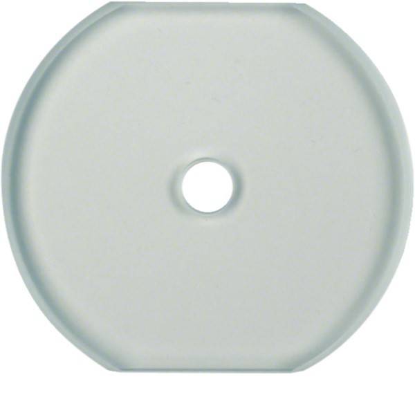 Hager Serie Glas,Mittelplatte WTD7672GWG2