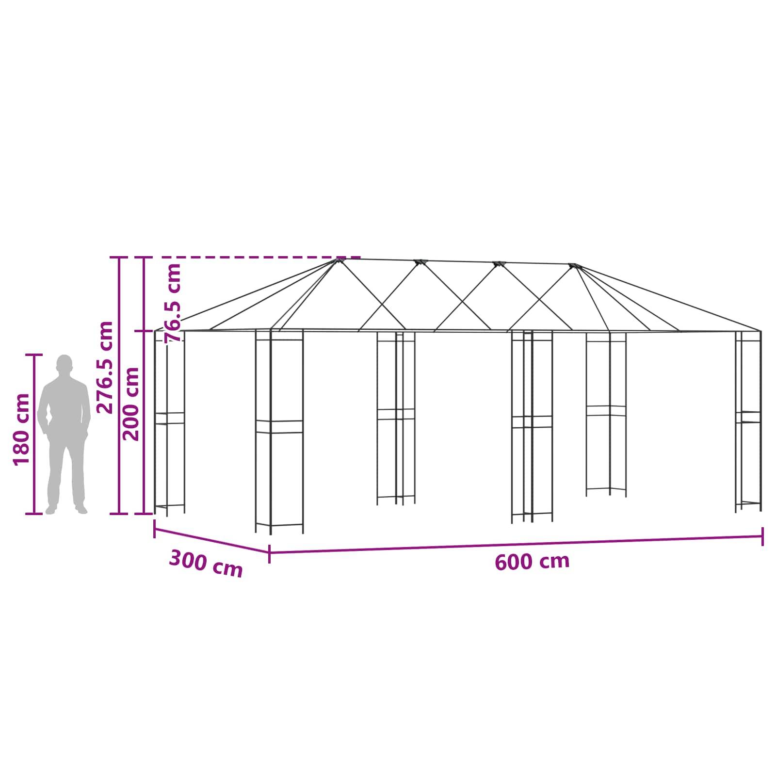 vidaXL 6 x 3 m Stahl