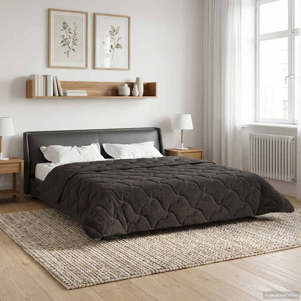 vidaXL Sommerdecke Anthrazit 200 x 200 cm Mikrofaser und Teddy-Fleece