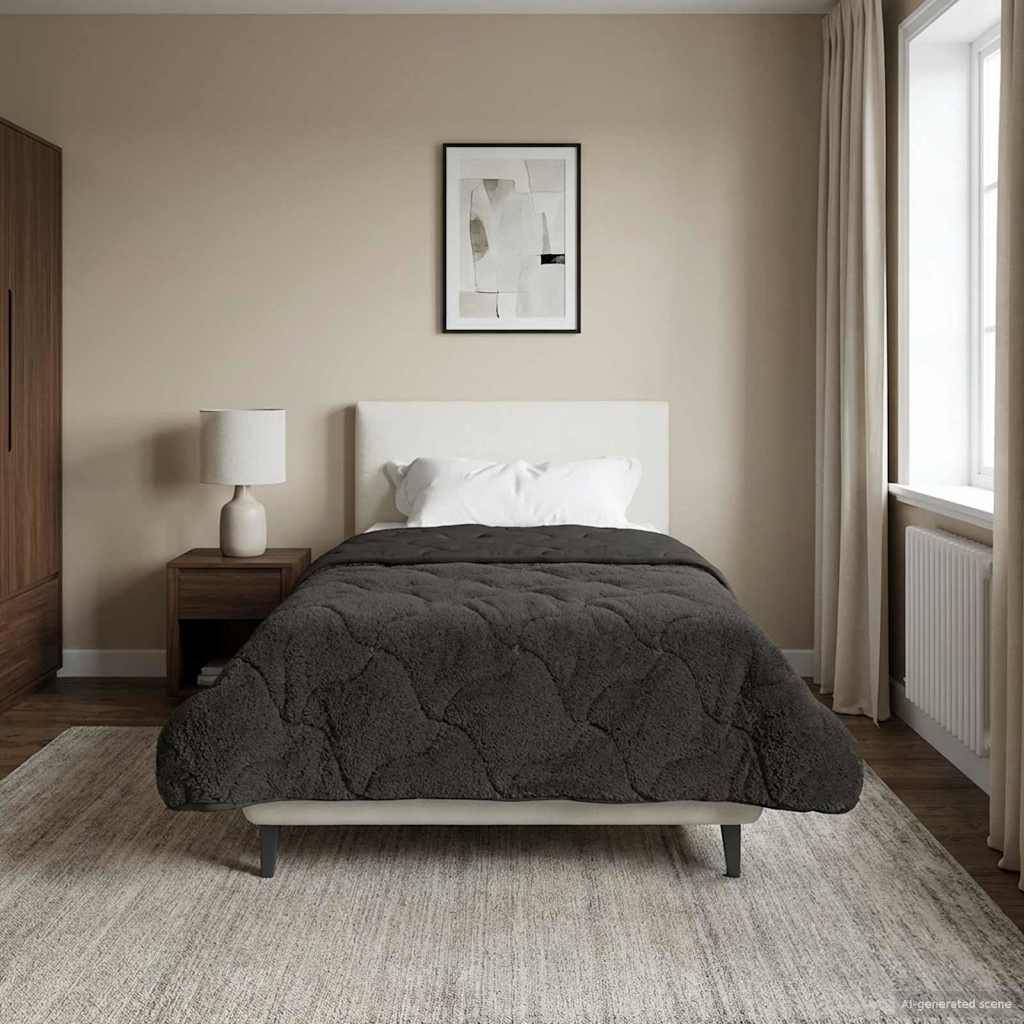 vidaXL Sommerdecke Anthrazit 155 x 220 cm Mikrofaser und Teddy-Fleece