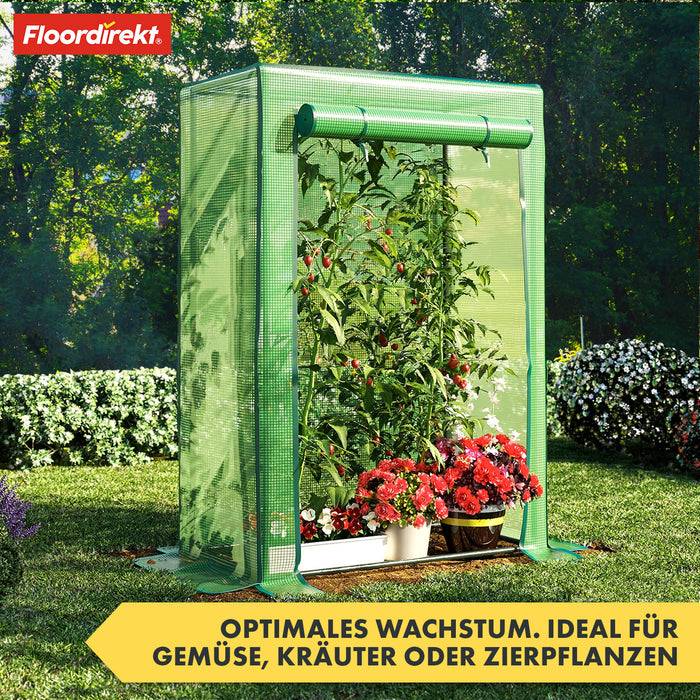 FLOORDIREKT Gewächshaus Botanika - Robust & Witterungsbeständig - In 3 Größen erhätlich - 77 x 200 x 169 cm