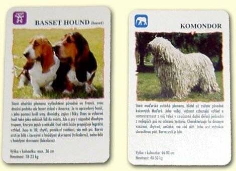 Quartett - Hunde (Kunststoffbox)