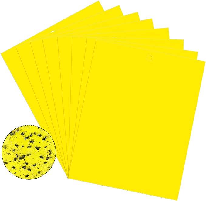 Klebefalle für Insekten, Fliegenfänger, 20er-Pack Yellow