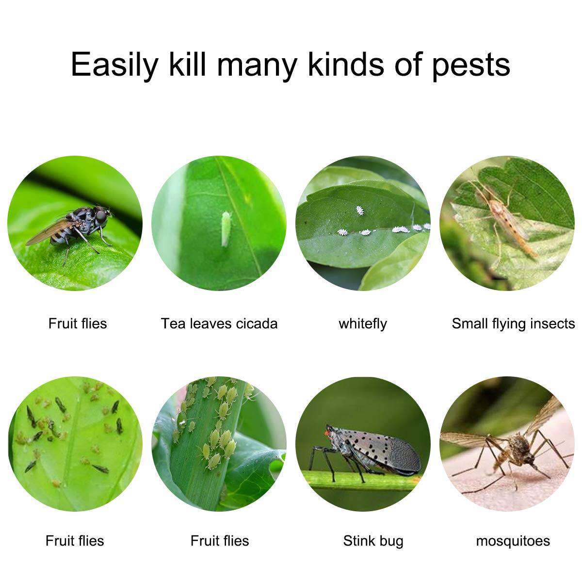 Klebefalle für Insekten, Fliegenfänger, 20er-Pack Yellow