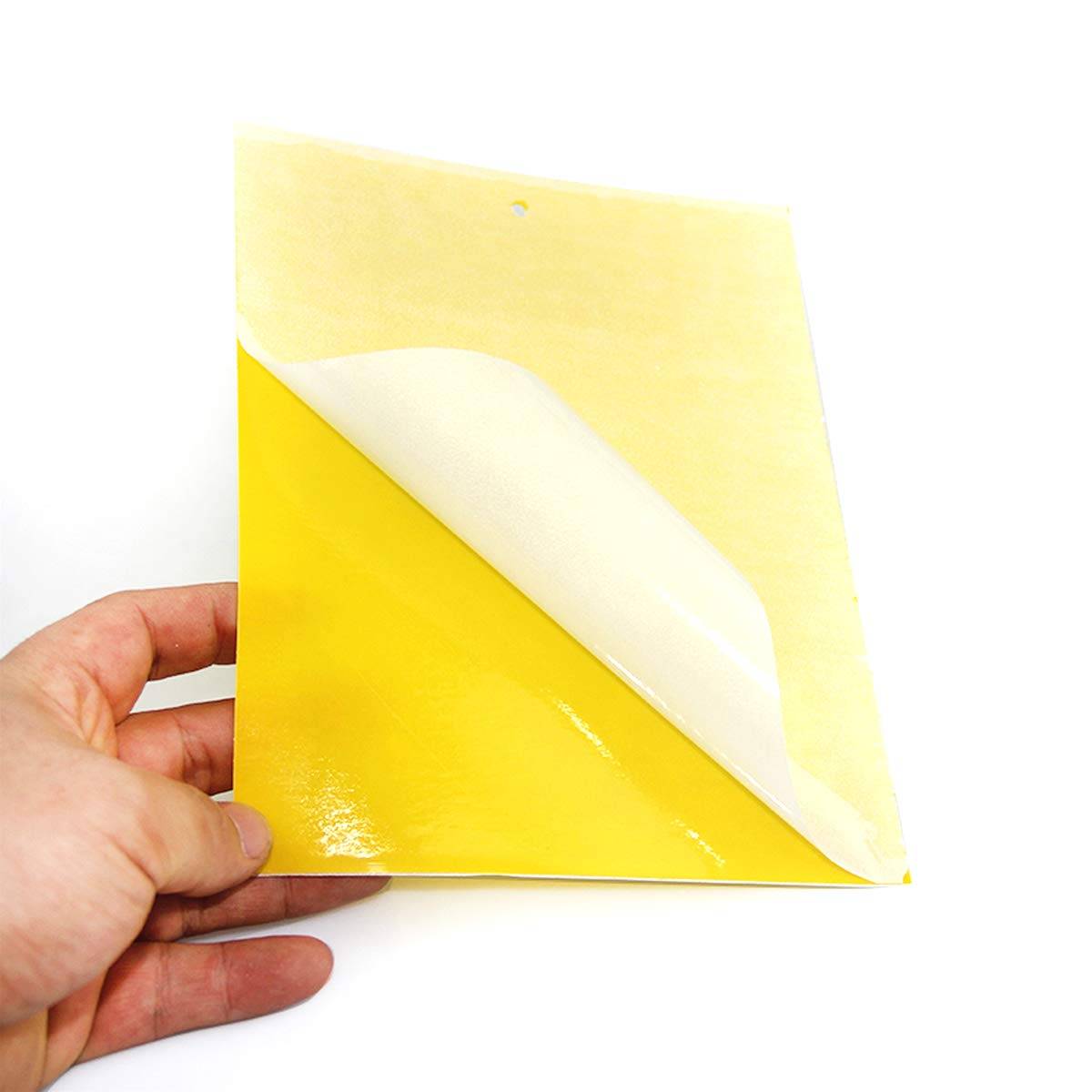 Klebefalle für Insekten, Fliegenfänger, 20er-Pack Yellow