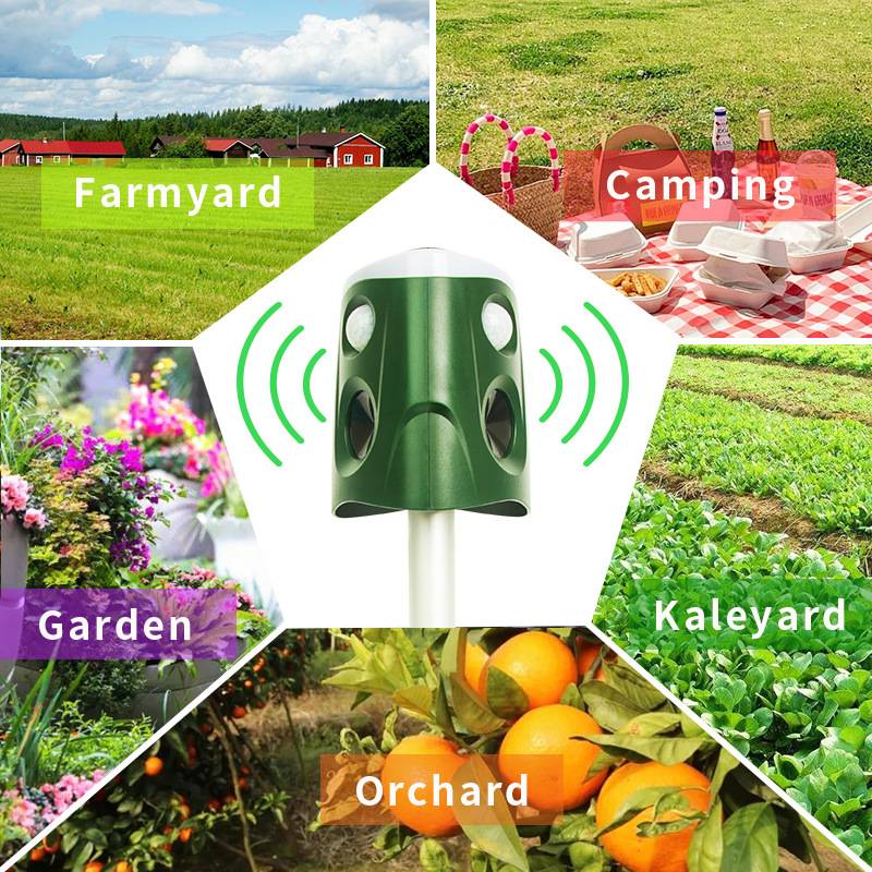 Vogelabwehr-Lautsprecher - 360°