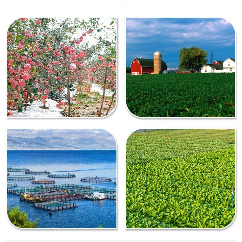 Achteckige Laser-Windmühle zur Vogelabwehr