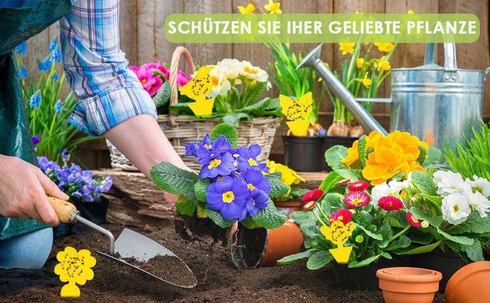 Niedliche und effektive Fliegenfänger/Fliegenfallen, 48er-Pack Yellow