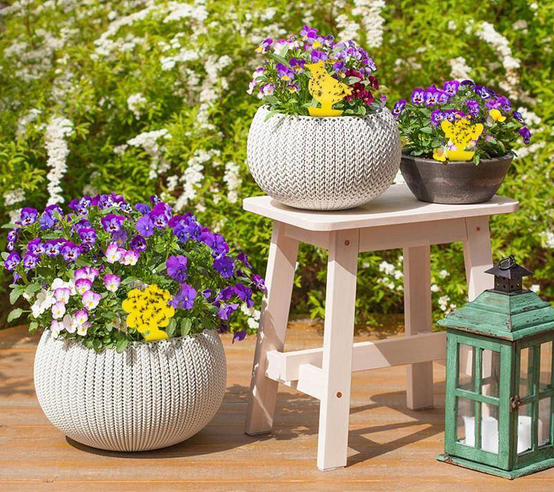 Niedliche und effektive Fliegenfänger/Fliegenfallen, 48er-Pack Yellow