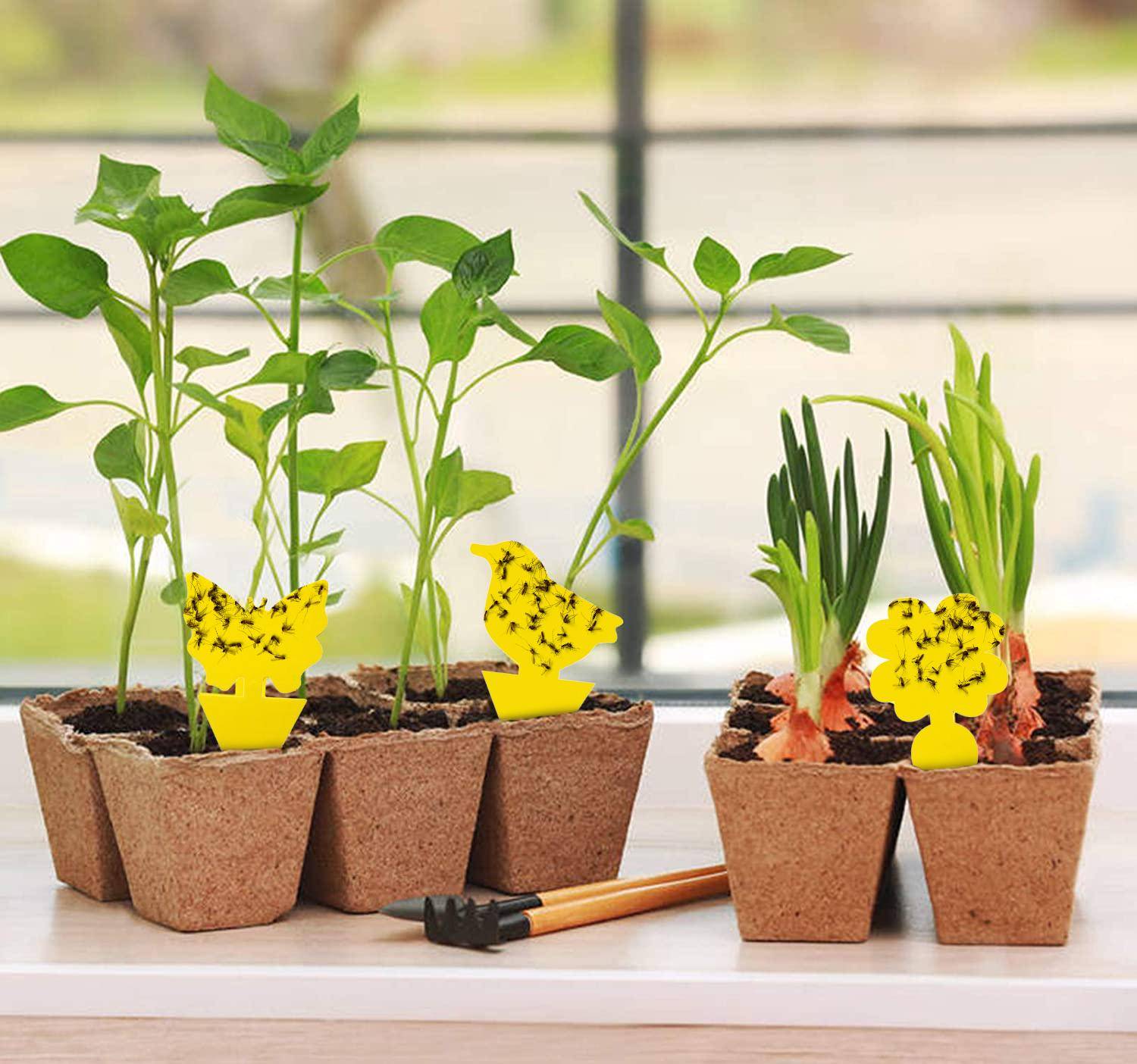 Niedliche und effektive Fliegenfänger/Fliegenfallen, 48er-Pack Yellow