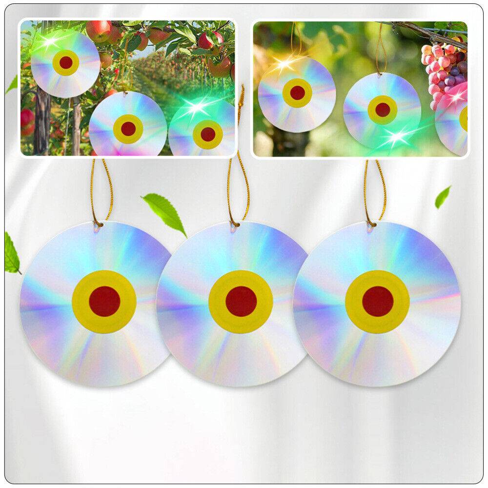 Reflektierender Vogelkäfig. Runde Platte