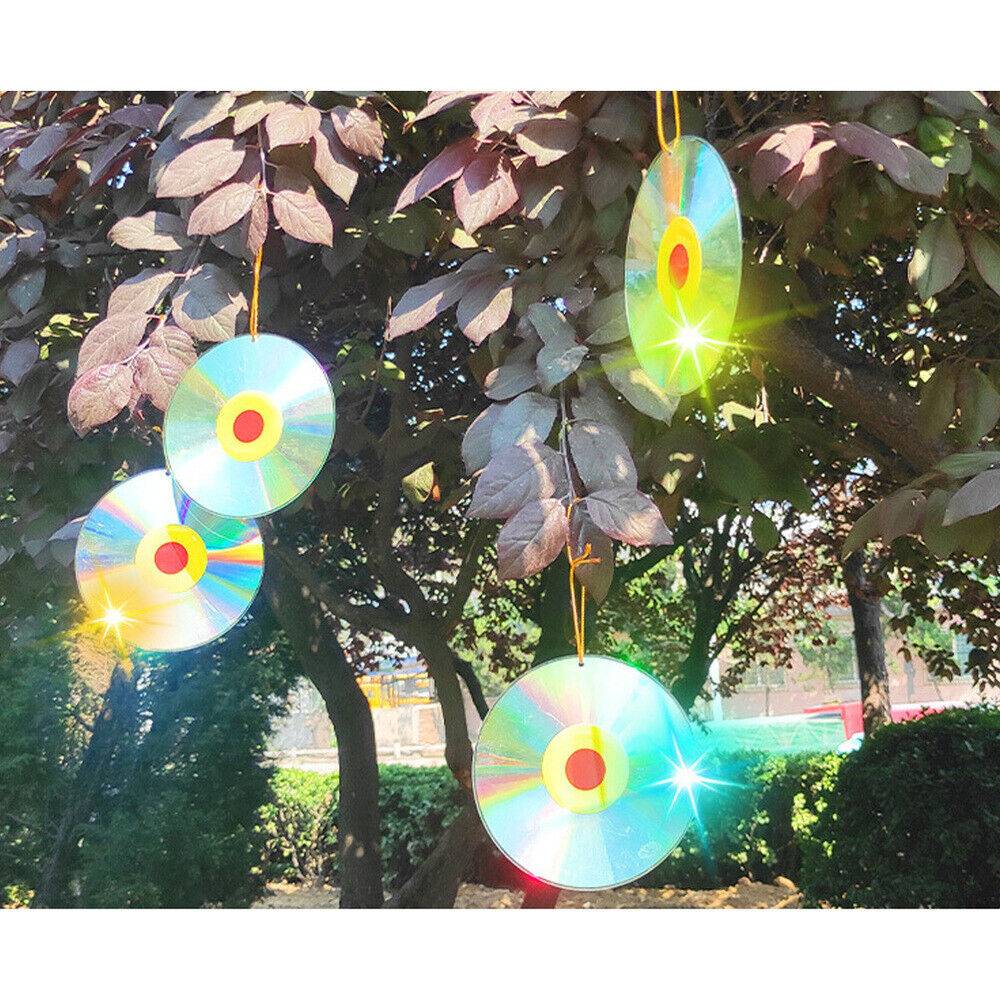 Reflektierender Vogelkäfig. Runde Platte