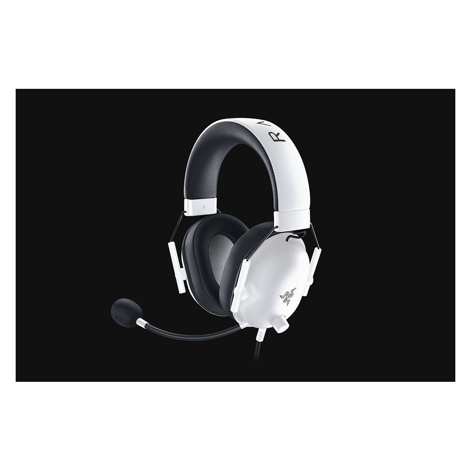 Razer BlackShark V2 X Eingabe / Ausgabe Kopfhörer & Headsets