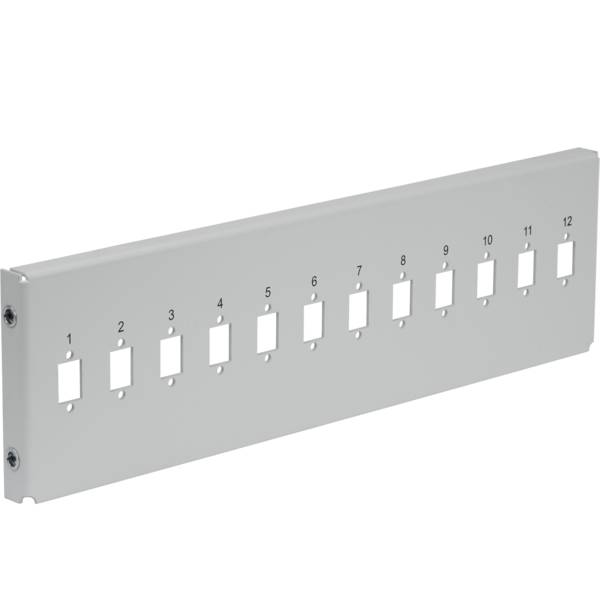Verteilerplatte 12 SC-Simplex für -- Miniwandverteiler 53605.1V2 Glasfaserverkabelung Glasfaser und