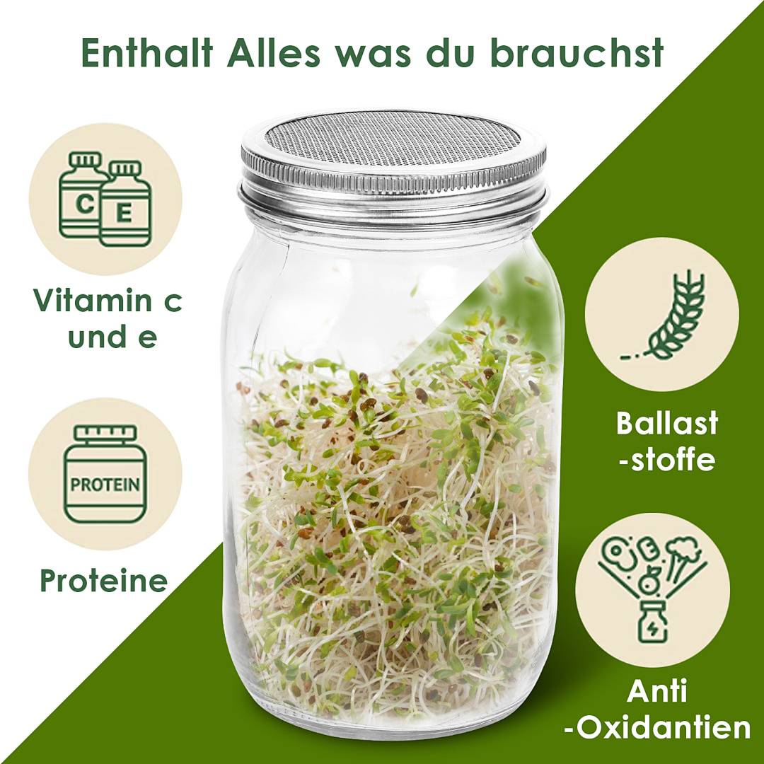 2x Sprossenglas Keimglas mit Deckel & Sieb Mit Abtropfschale Satz 2 Einstellbare Halterung Sprossen Keimgerät Pflanzenzuchtbehälter Keimbehälter