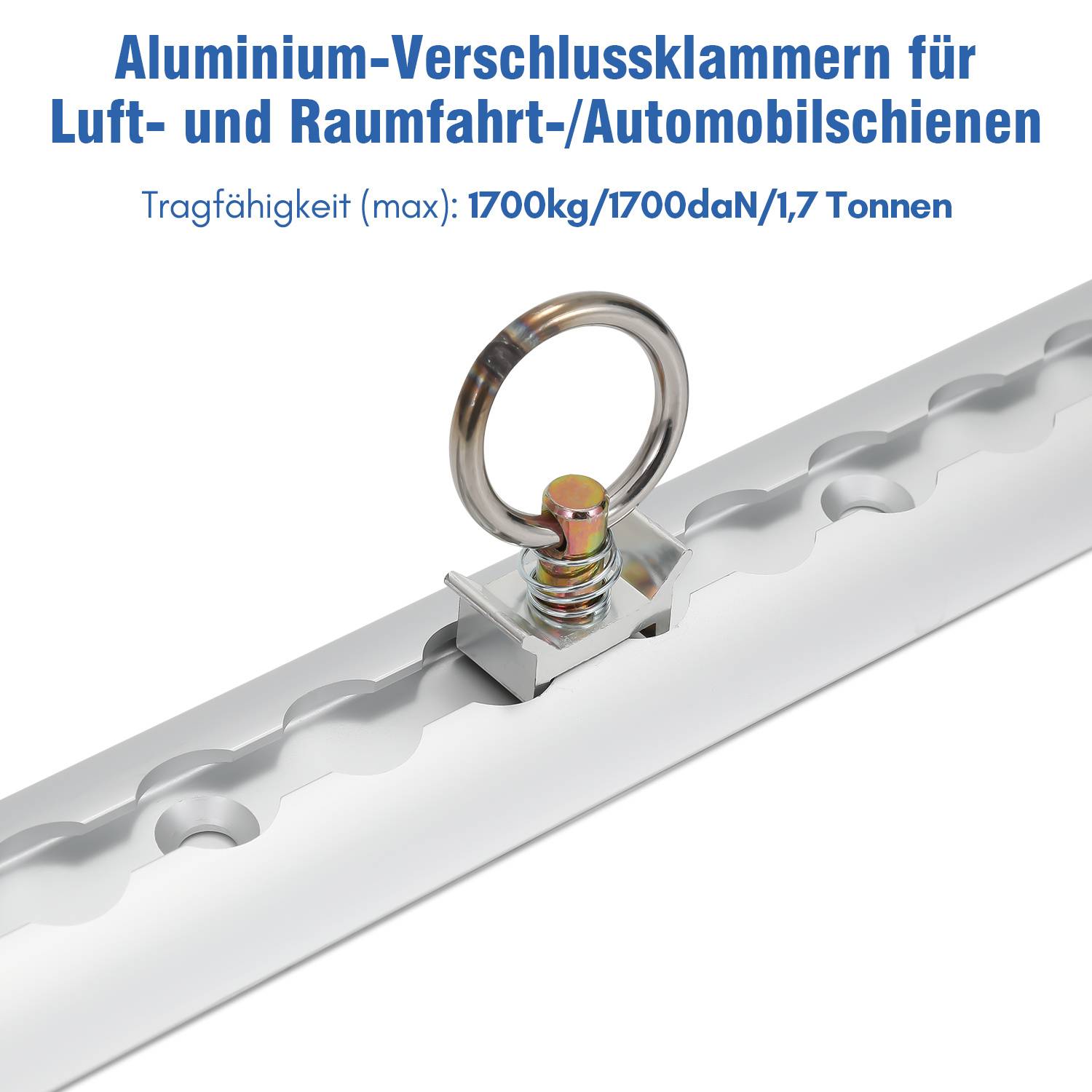Airlineschienen 1 m Alu Zurrschiene für Ladungssicherung Silber
