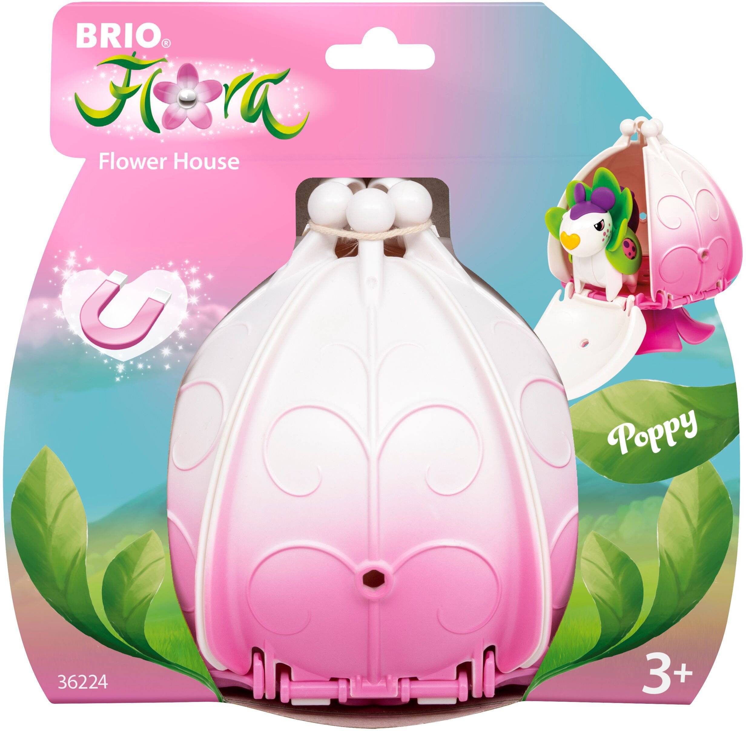 Brio Flora - Poppys Blumenhaus