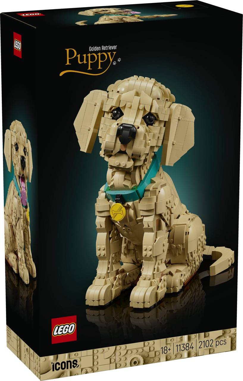LEGO 11384 Icons - Golden Retriever Welpe