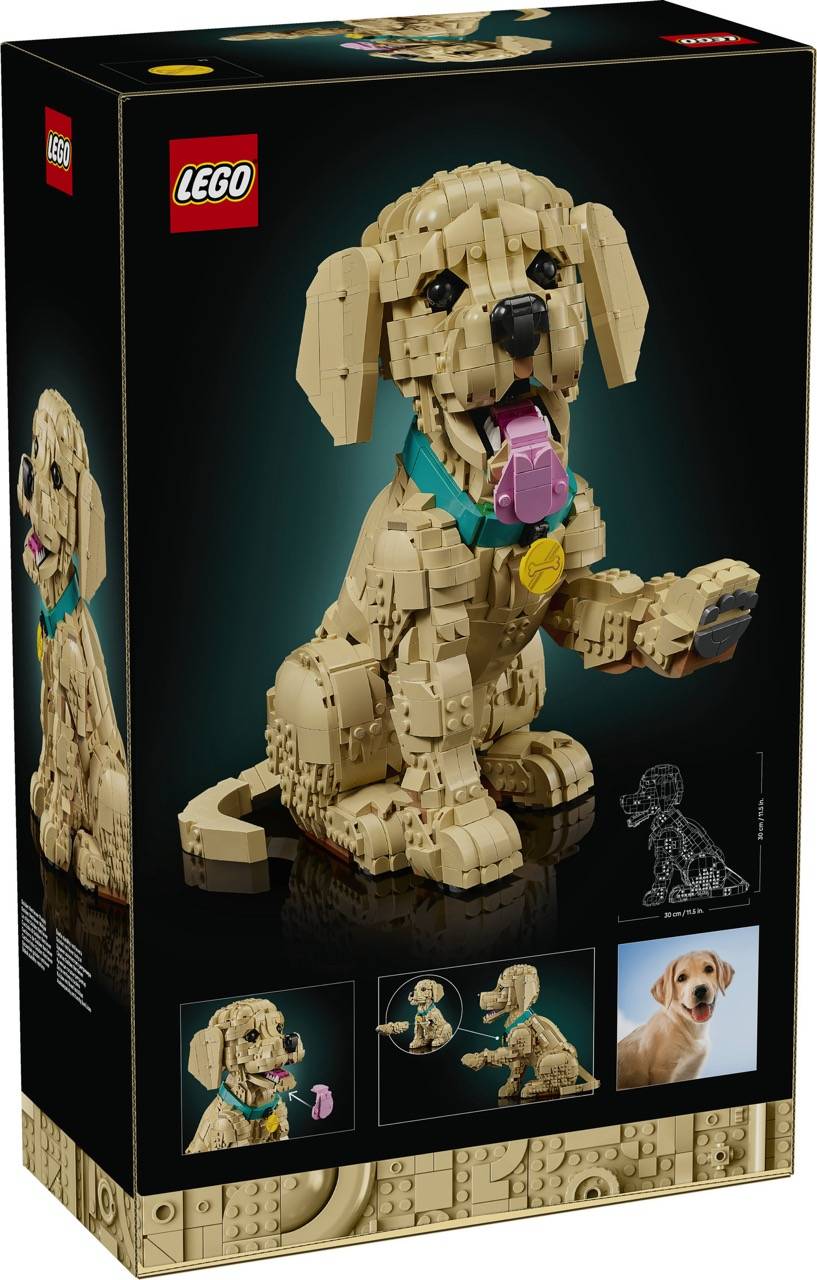 LEGO 11384 Icons - Golden Retriever Welpe