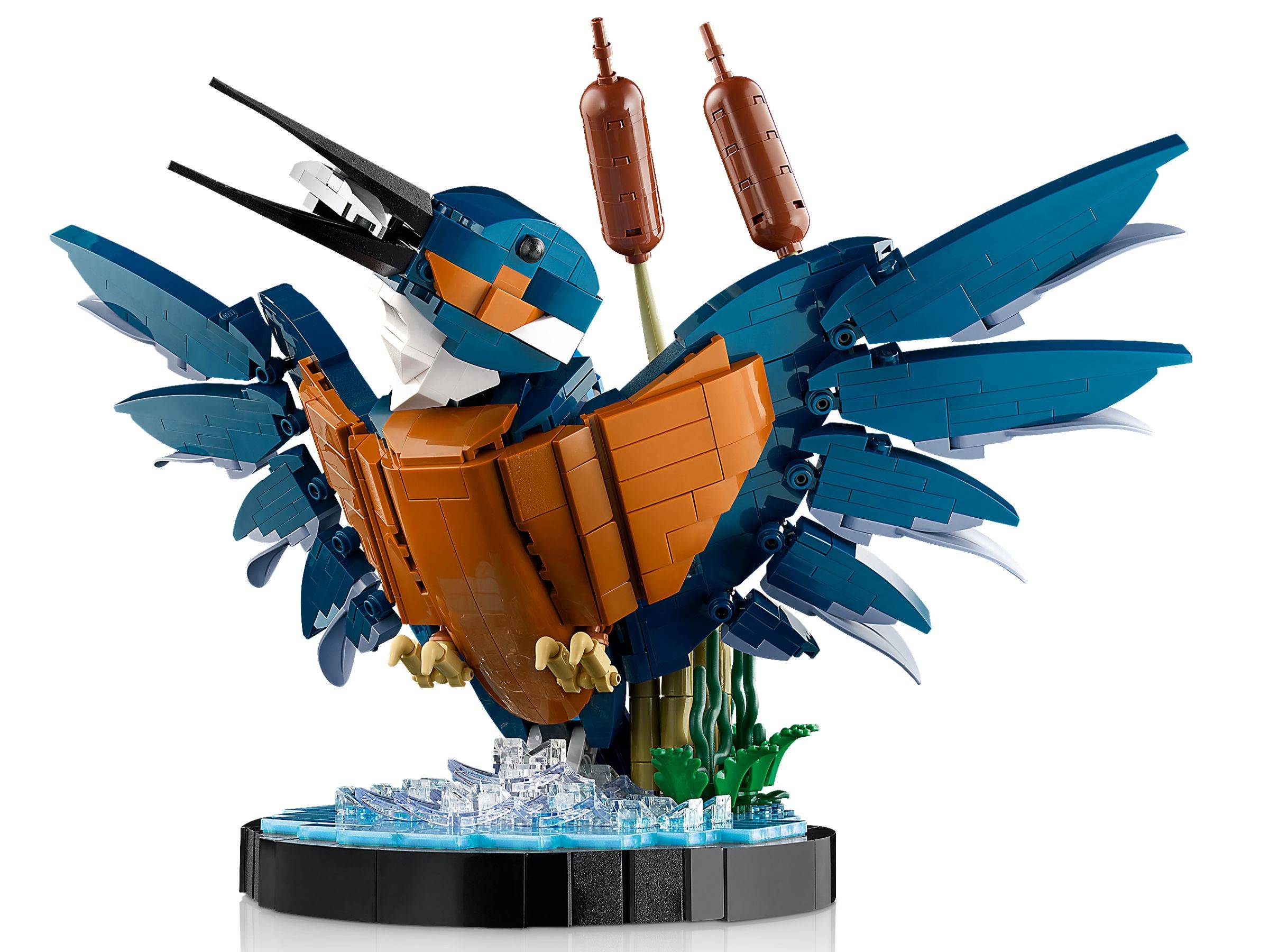 LEGO® Icons 10331 Eisvogel