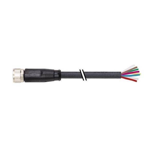 Murrelektronik Anschlussleitung 7000-08961-6962000