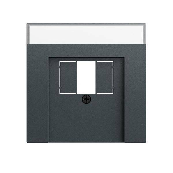 Gira Abd. BSF TAE USB System 70 087673