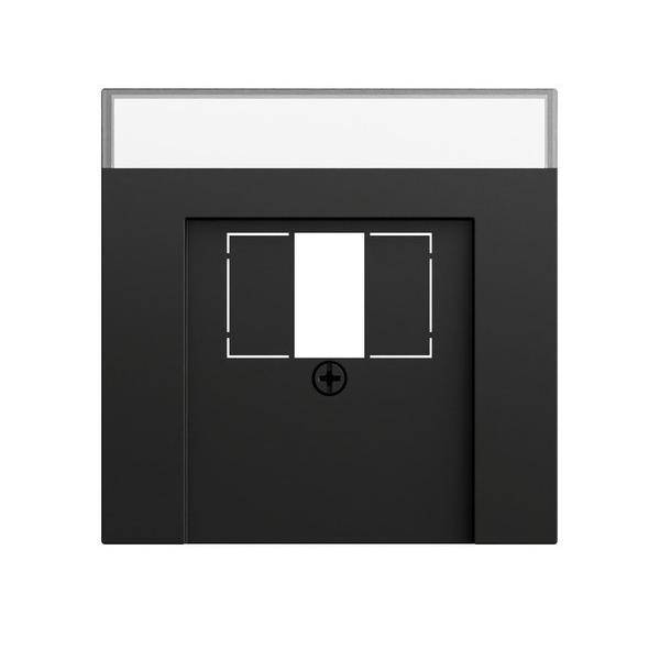 Gira Abd. BSF TAE USB System 70 087674