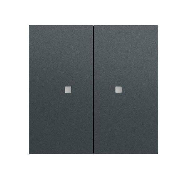 Gira RF Bedienaufs. 2f KNX 510773