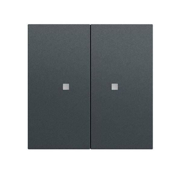 Gira Taster Wippe 2f OneKNX 517373