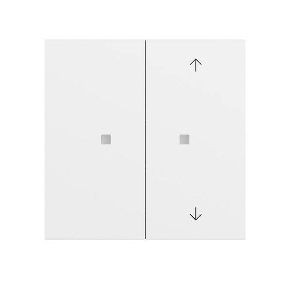 Gira Taster Wippe 2f 517572