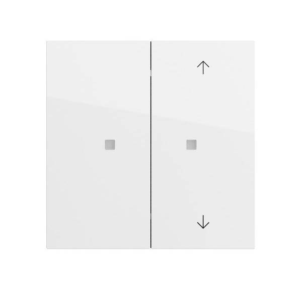 Gira Taster Wippe 2f 517570