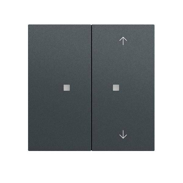 Gira Taster Wippe 2f 517573