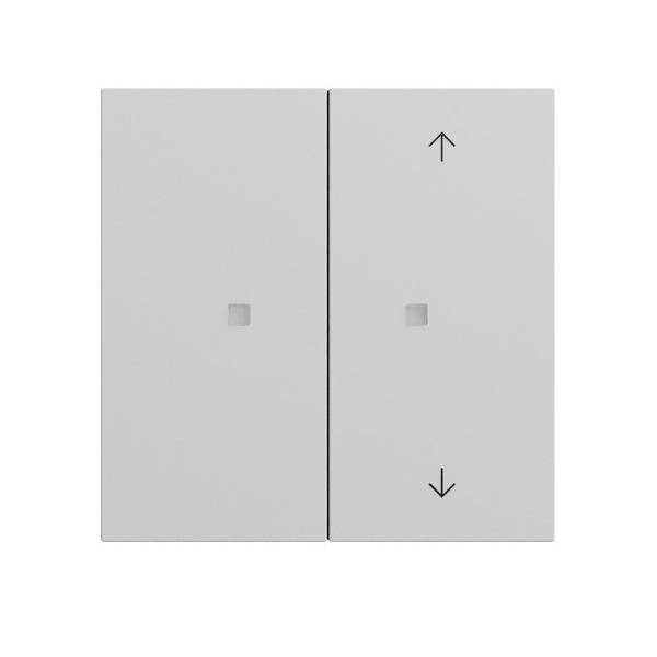 Gira Taster Wippe 2f 517576